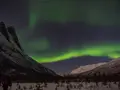 Best Aurora Forecast Apps 2026